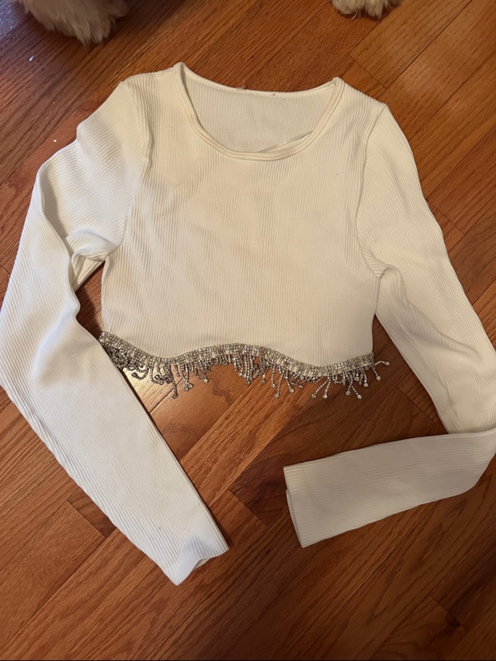 Ribbed White Crop Top with Silver Beaded Fringe